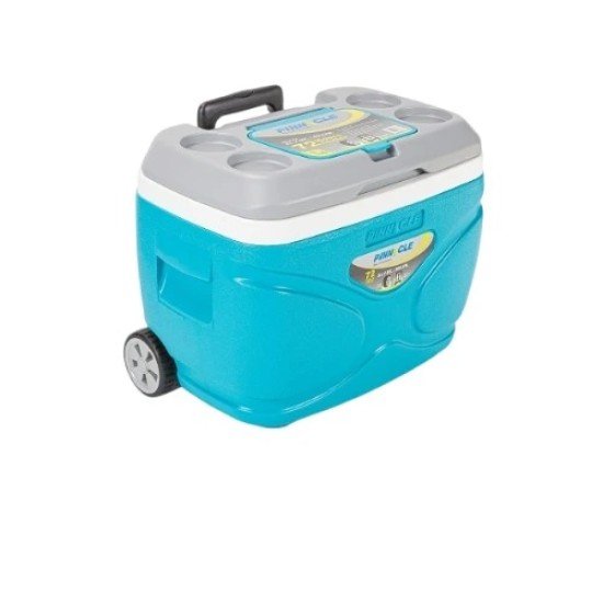 ICE BOX INDIAN 30 litre