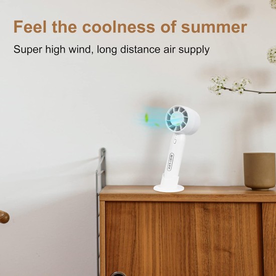 Portable hand-held small fan (Summer fan)