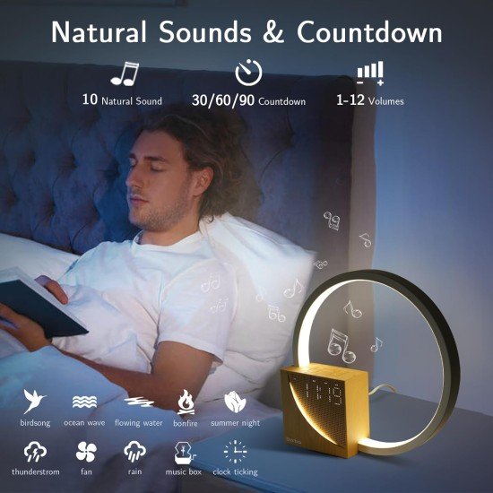 Sound Table Lamp with 2 Alarm Clock