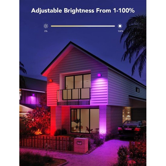 Govee RGBICWW LED Smart Flood Lights - H7060