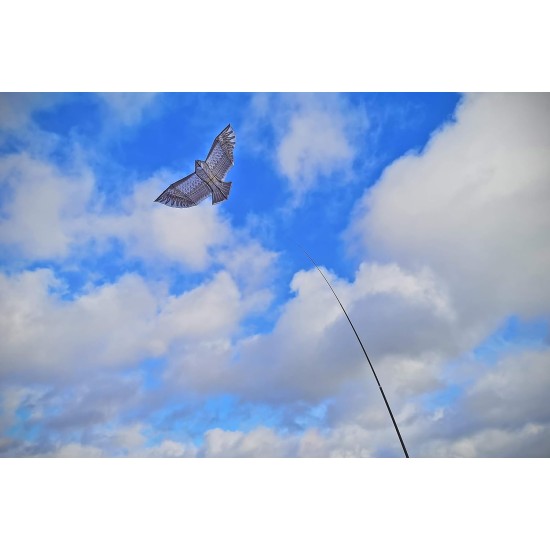 Eagle shaped kite