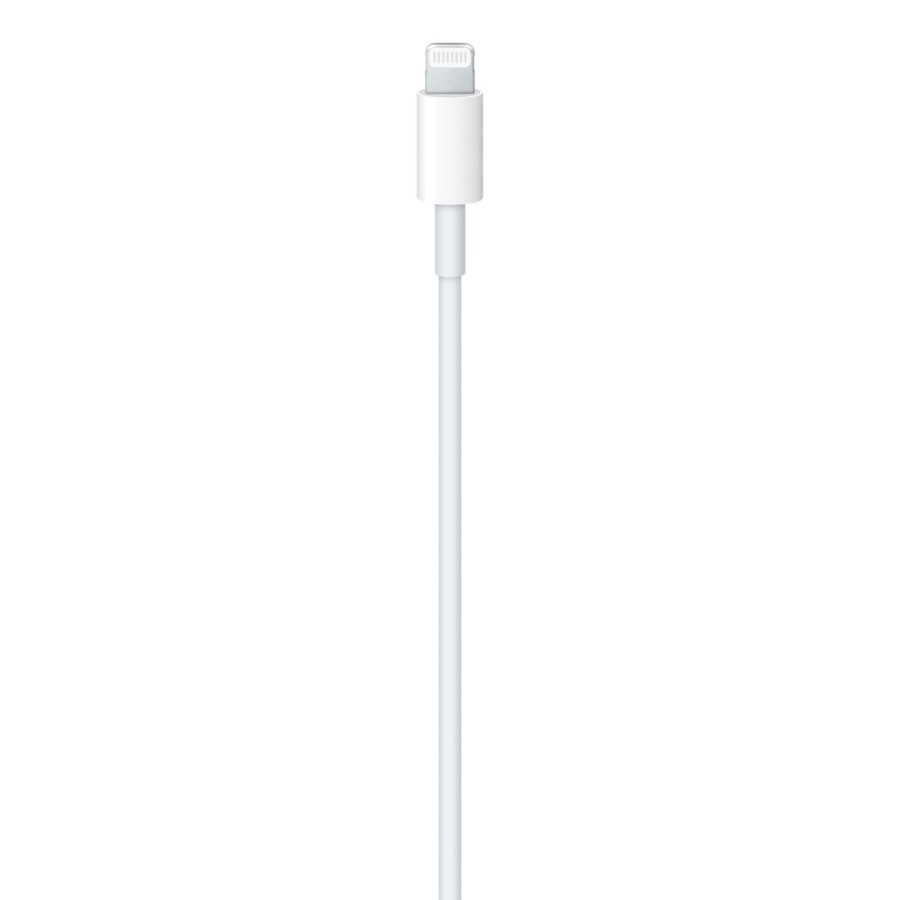 Apple USB-C to Lightning Cable (1 m)