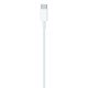 Apple USB-C to Lightning Cable (1 m)