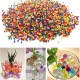 1000 Original Gel Water Bomb Shooting 1000 Original Gel Water Bomb Shooting