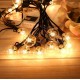 12LED Warm Light Outdoor waterproof LED string  Decorative lights