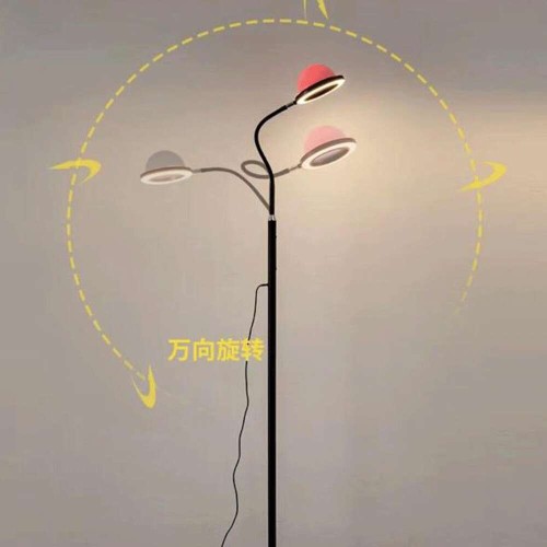 LED Floor Ring Light Lamp