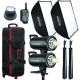 GODOX  2-LIGHT STUDIO FLASH KIT