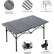 Aluminum Folding Table With Carry Bag 120 X 55x 62cm