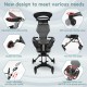 2 in 1 Convertible Baby Stroller with Shade 2 in 1 Convertible Baby Stroller with Shade