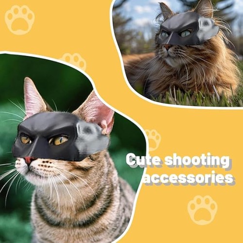 Cat Batman Mask