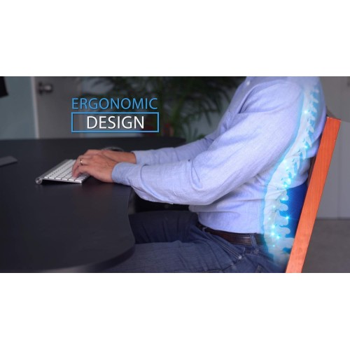 Comfy Curve Lumbar Back Support Pillow