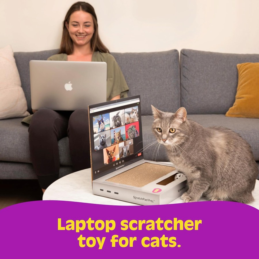 Fluffy Mouse and Ball Track Pad Laptop Scratcher For Cat