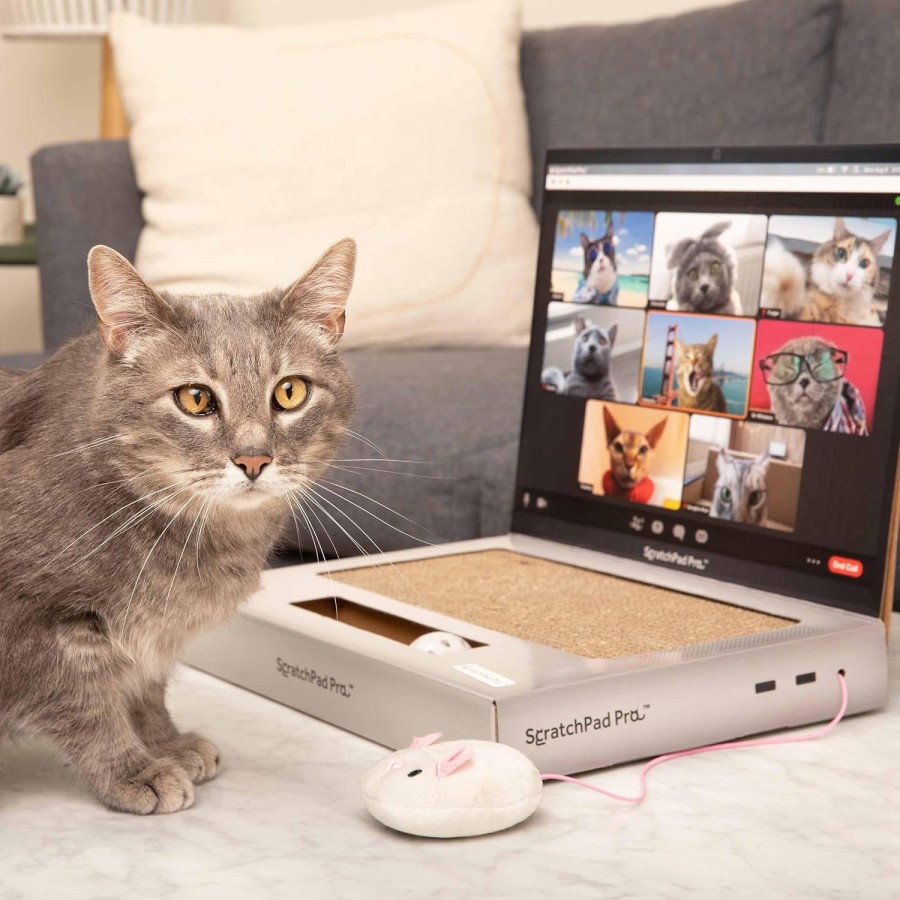 Fluffy Mouse and Ball Track Pad Laptop Scratcher For Cat