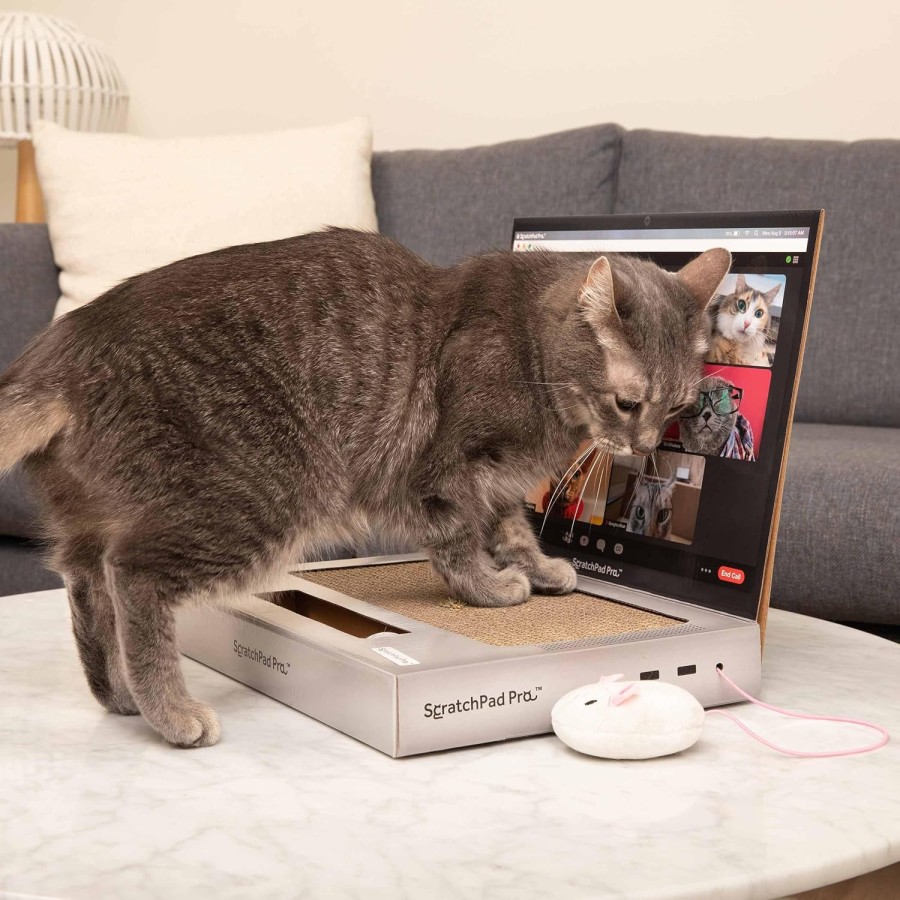 Fluffy Mouse and Ball Track Pad Laptop Scratcher For Cat