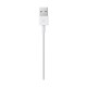 Apple Lightning to USB Cable - 1M Apple Lightning to USB Cable - 1M