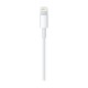 Apple Lightning to USB Cable - 1M Apple Lightning to USB Cable - 1M
