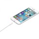 Apple Lightning to USB Cable 2M Apple Lightning to USB Cable 2M