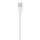 Apple Lightning to USB Cable 2M Apple Lightning to USB Cable 2M