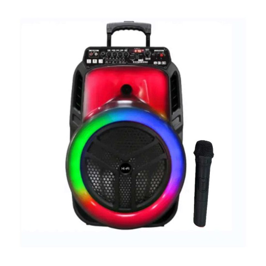 BT Wireless Trolley Speaker 12inch Colorfull Light CH-1228