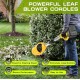 Cordless Electric Leaf Blower 21V - Rechargable