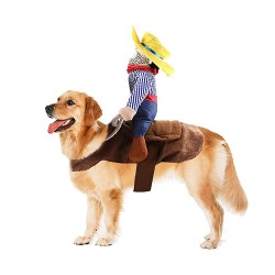 Cowboy Dog & Cat Funny Costume Riding Cowboy Dog & Cat Funny Costume Riding