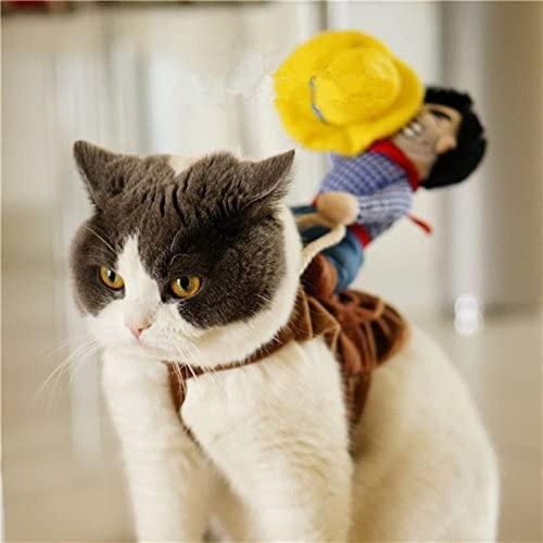 Cowboy Dog & Cat Funny Costume Riding