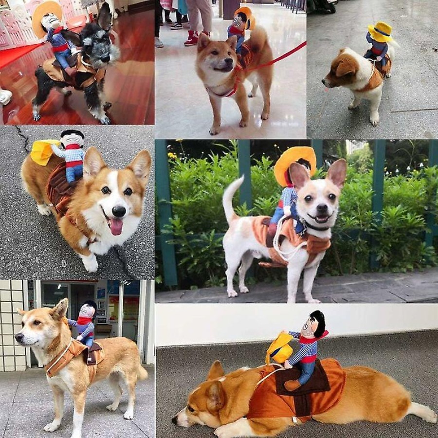 Cowboy Dog & Cat Funny Costume Riding