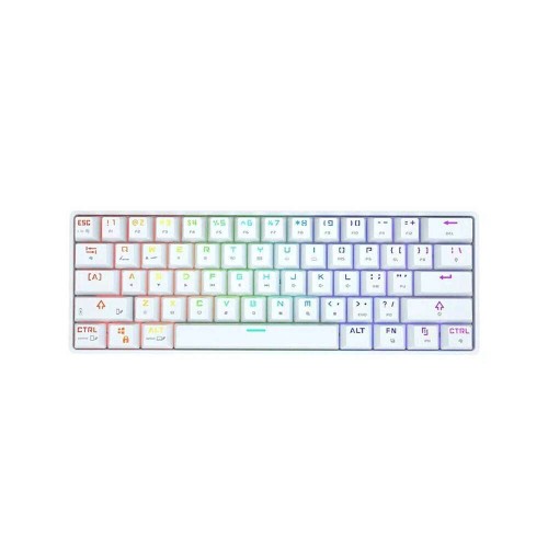 DK61 RGB Mechanical keyboard Wireless & Wire - Blue Switch