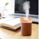 Himalayan Salt Lamp Diffuser Humidifier