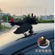 Dragon 3 Plush Stuffed Toy for Car with Suction holder