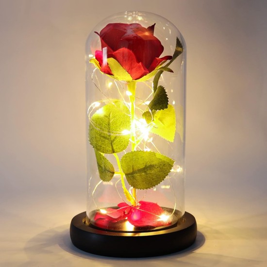 Glass Dome Petal Flower Gift light