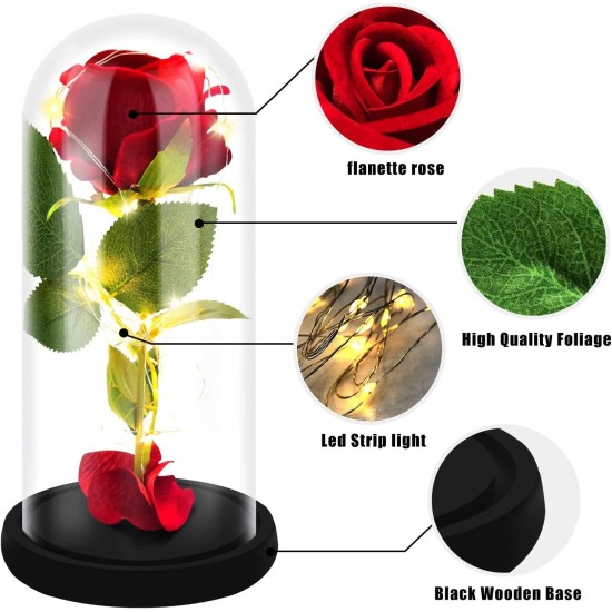 Glass Dome Petal Flower Gift light