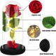 Glass Dome Petal Flower Gift light