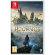 Hogwarts Legacy (Switch)