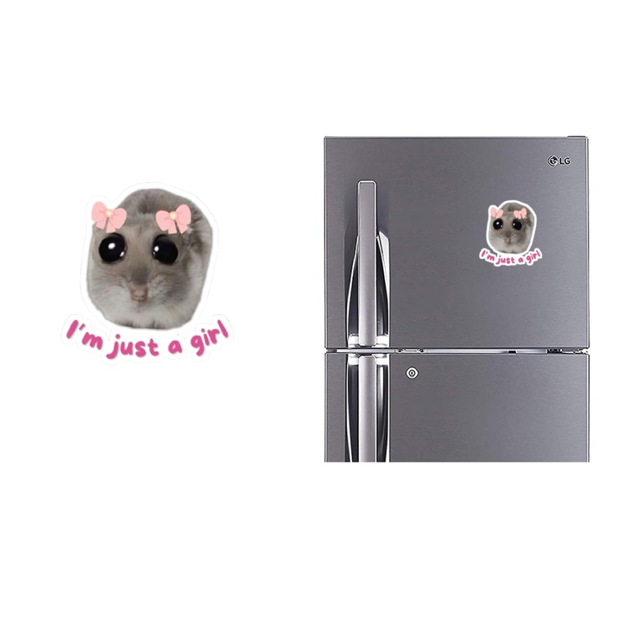 Refrigerator Fridge Acrylic Magnetic - I am Just a Girl Refrigerator Fridge Acrylic Magnetic - I am Just a Girl