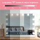 Large Vanity Makeup Mirror with Lights 14 Dimmable LED Bulb