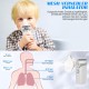 Portable Travel Nebulizer Machine for Adults and Kids