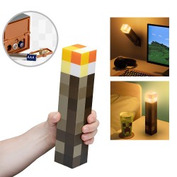 Minecraft Torch Light