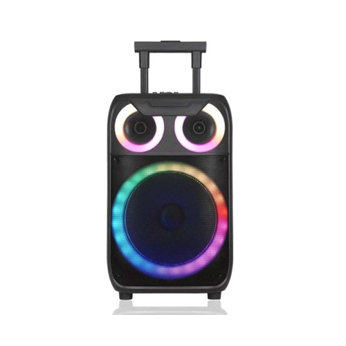 BT Wireless 15inch Party Speaker 1800W With Colorful Lights - NDR-C15