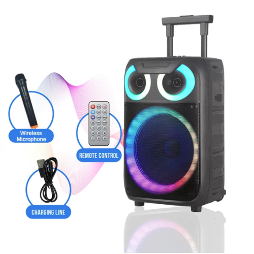 BT Wireless 15inch Party Speaker 1800W With Colorful Lights - NDR-C15