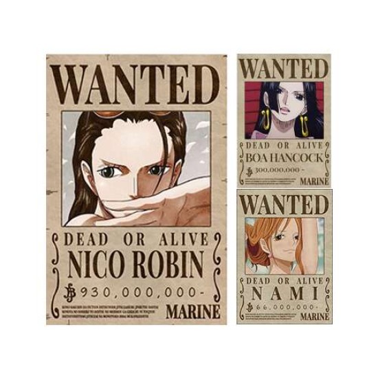 Poster Framed - One Piece Anime - Nico Robin Wanted - 4D Print - 30x40cm