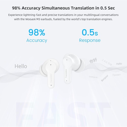 P-30 Wireless Earphone  Online Translator