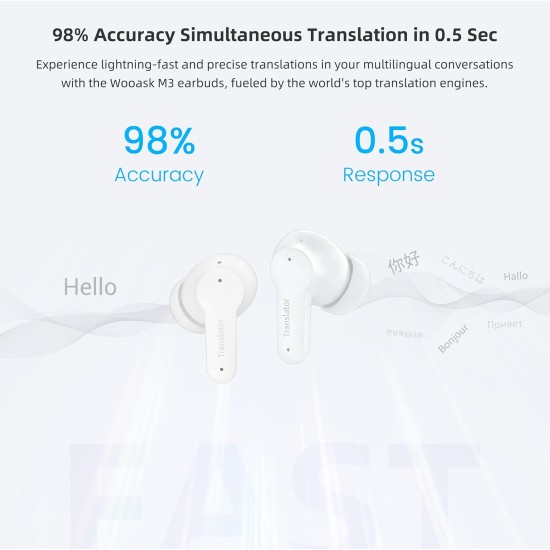 P-30 Wireless Earphone  Online Translator