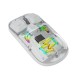  Transparent Mouse 2.4G and Bluetooth Dual Mode - Grey