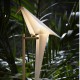 Perch Light LED Floor Lamp Bird