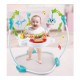 Baby Jumping Bouncer Rocking Chair with Lights & Music 14231/14230 Baby Jumping Bouncer Rocking Chair with Lights & Music 14231/14230