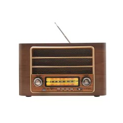 RAISENG Perfect Multimedia Radio Player model: R-1972BTL RAISENG Perfect Multimedia Radio Player model: R-1972BTL
