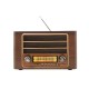 RAISENG Perfect Multimedia Radio Player model: R-1972BTL RAISENG Perfect Multimedia Radio Player model: R-1972BTL