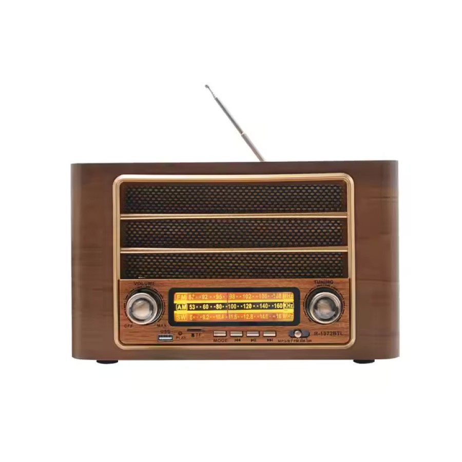 RAISENG Perfect Multimedia Radio Player model: R-1972BTL