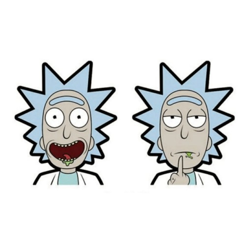 4D STICKER RICK AND MORTY 002